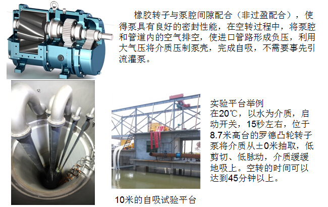 凸轮香蕉短视频看黄网站 凸轮香蕉短视频看黄网站