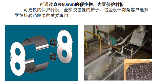 凸轮香蕉短视频看黄网站 凸轮香蕉短视频看黄网站