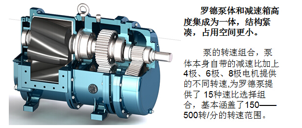 凸轮香蕉短视频看黄网站 凸轮香蕉短视频看黄网站