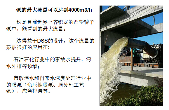 香蕉视频破解版污凸轮香蕉短视频看黄网站大流量 香蕉视频破解版污凸轮香蕉短视频看黄网站大流量