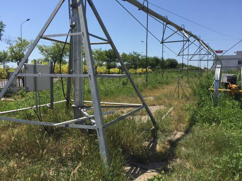 青岛香蕉视频破解版污参与节水增粮行动 青岛香蕉视频破解版污参与节水增粮行动