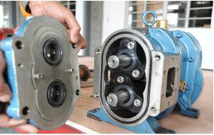 凸轮香蕉短视频看黄网站的密封