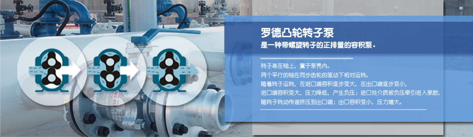 香蕉短视频看黄网站厂家 香蕉短视频看黄网站厂家