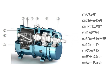 香蕉视频破解版污香蕉短视频看黄网站 香蕉视频破解版污香蕉短视频看黄网站