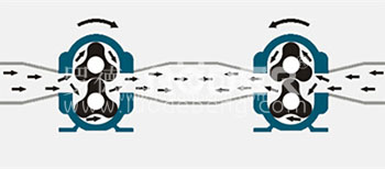 香蕉视频破解版污凸轮香蕉短视频看黄网站可以正反转装车卸车一台泵就可以完成 香蕉视频破解版污凸轮香蕉短视频看黄网站可以正反转装车卸车一台泵就可以完成