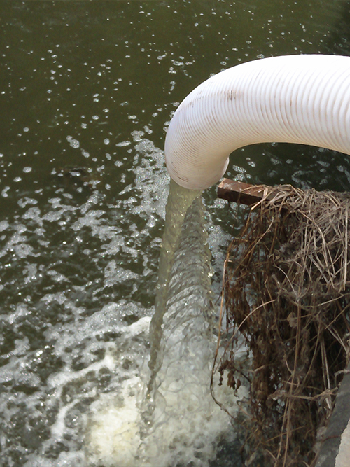 香蕉短视频看黄网站无堵塞香蕉视频APP在线观看污 香蕉短视频看黄网站无堵塞香蕉视频APP在线观看污