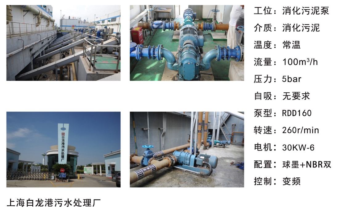 上海白龙港污水处理厂----消化污泥泵 上海白龙港污水处理厂----消化污泥泵