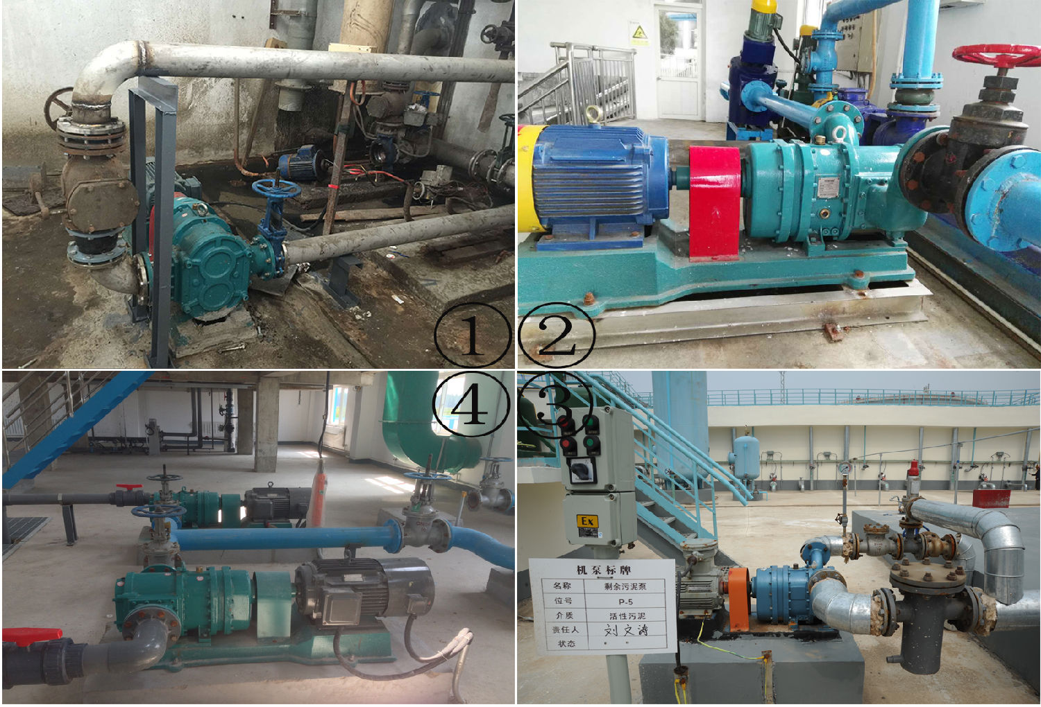 香蕉视频破解版污香蕉短视频看黄网站式污泥泵香蕉视频原版污免费破解版应用