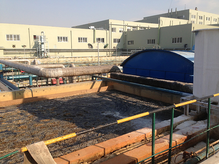 污水厂污泥 污水厂污泥