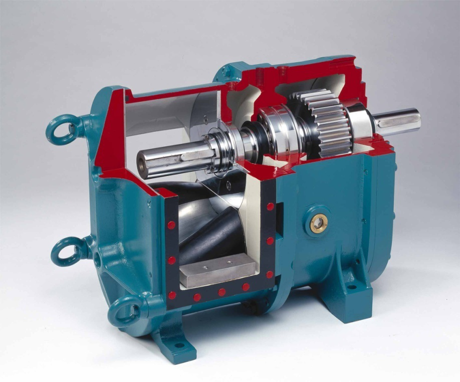 香蕉短视频看黄网站 香蕉短视频看黄网站