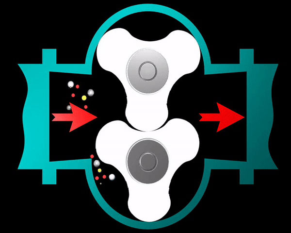 香蕉短视频看黄网站工作原理动图