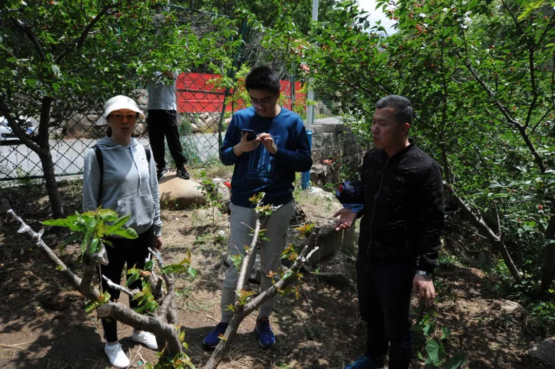 香蕉视频破解版污春游
