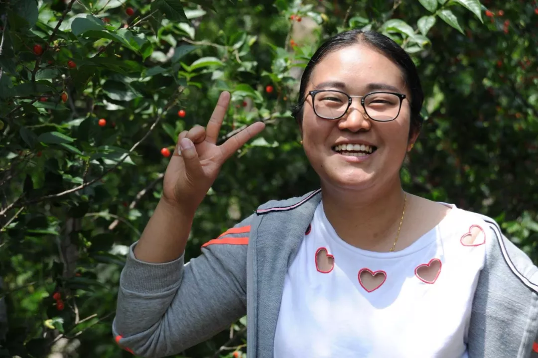 香蕉视频破解版污组织春季樱桃采摘