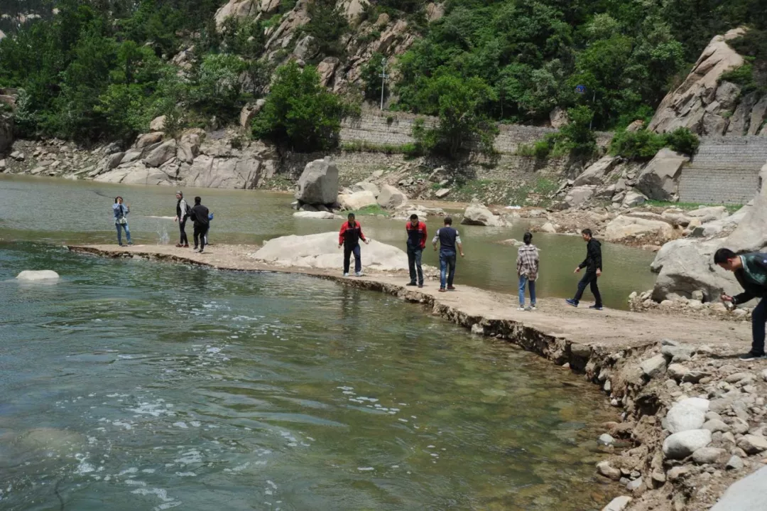 香蕉视频破解版污员工活动