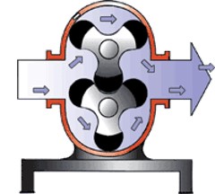 凸轮香蕉短视频看黄网站 凸轮香蕉短视频看黄网站