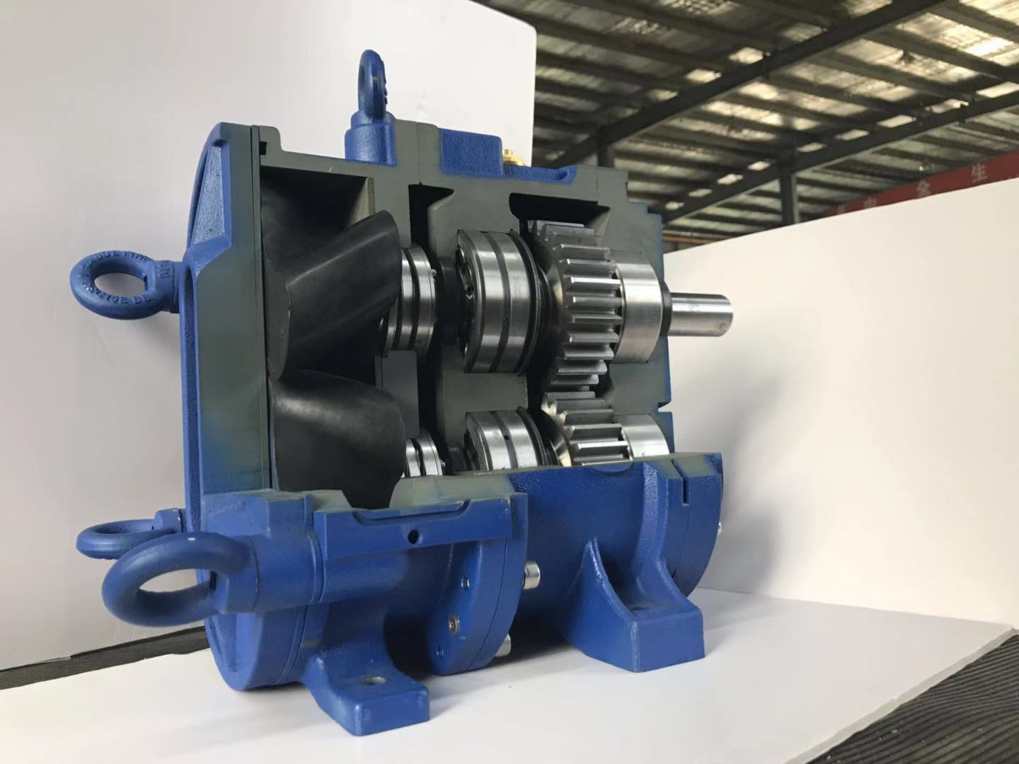 香蕉短视频看黄网站