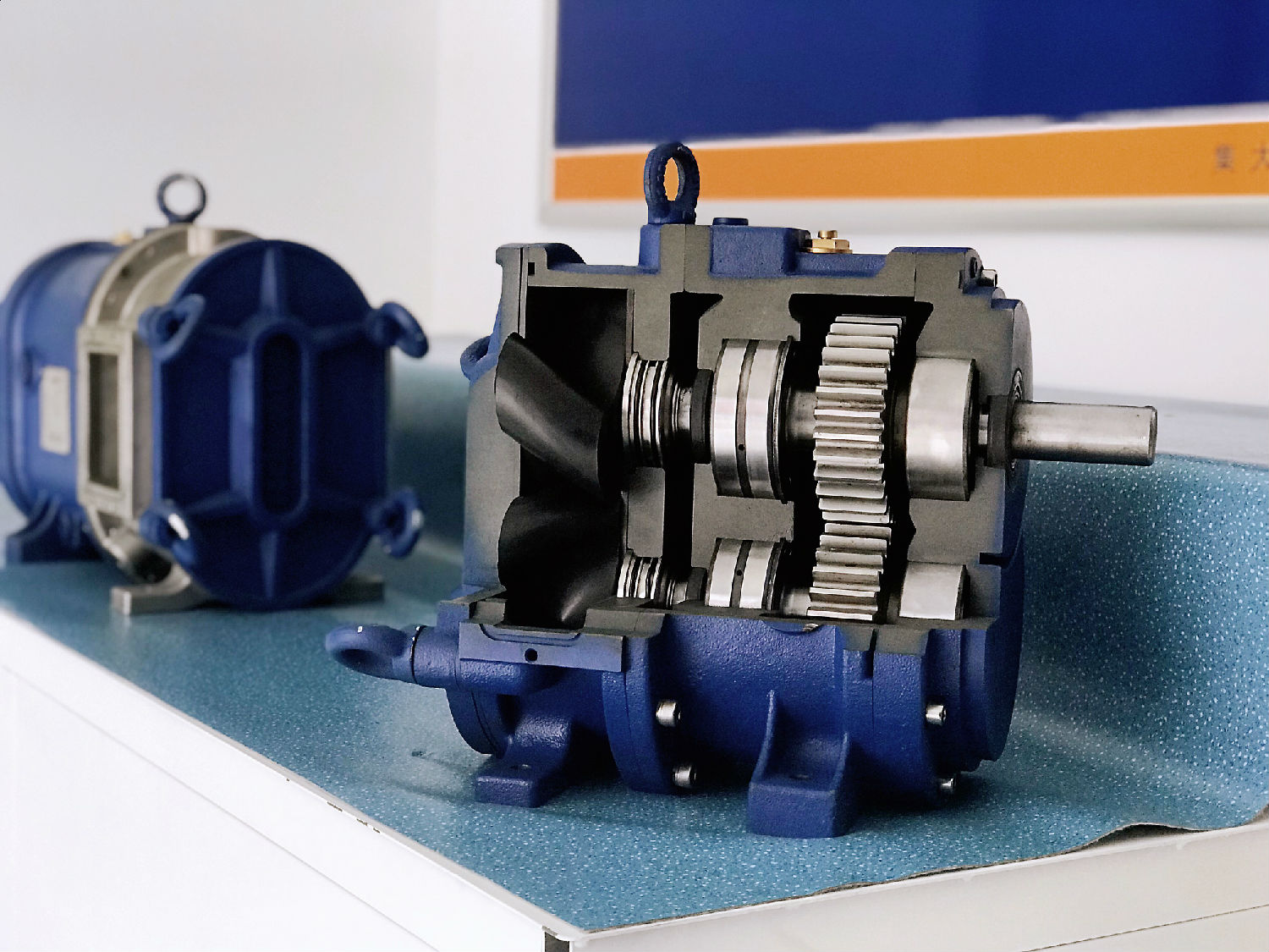 香蕉短视频看黄网站