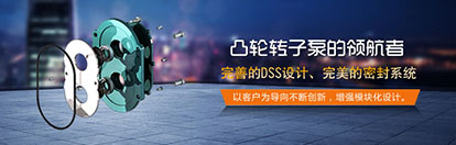 凸轮香蕉短视频看黄网站解决渣浆泵存在的问题